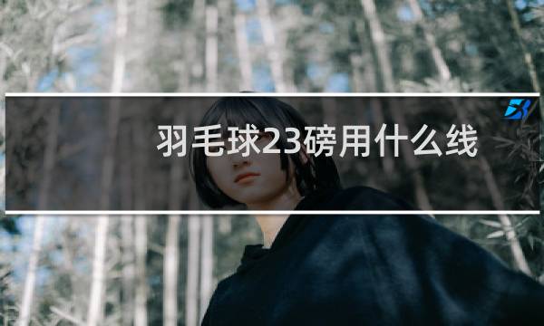 羽毛球23磅用什么线
