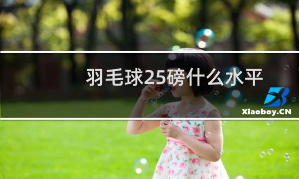 羽毛球25磅什么水平