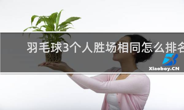 羽毛球3个人胜场相同怎么排名