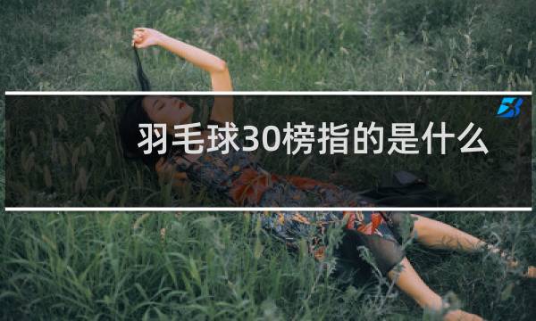 羽毛球30榜指的是什么