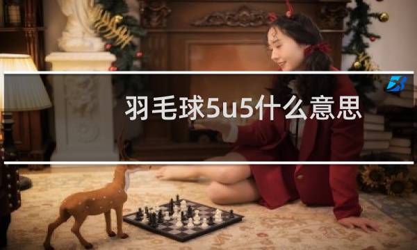 羽毛球5u5什么意思