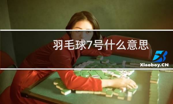 羽毛球7号什么意思