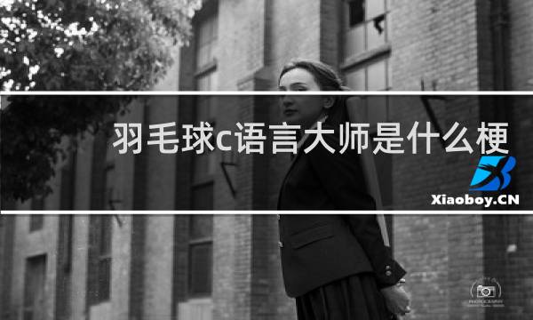 羽毛球c语言大师是什么梗