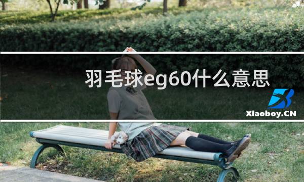 羽毛球eg60什么意思