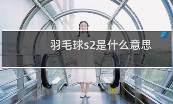 羽毛球s2是什么意思