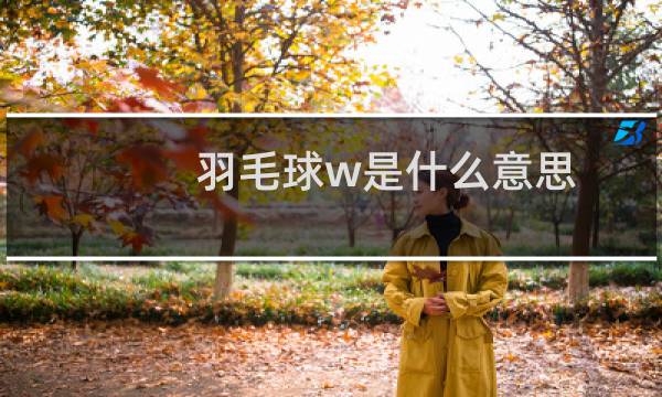 羽毛球w是什么意思