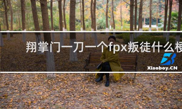 翔掌门一刀一个fpx叛徒什么梗