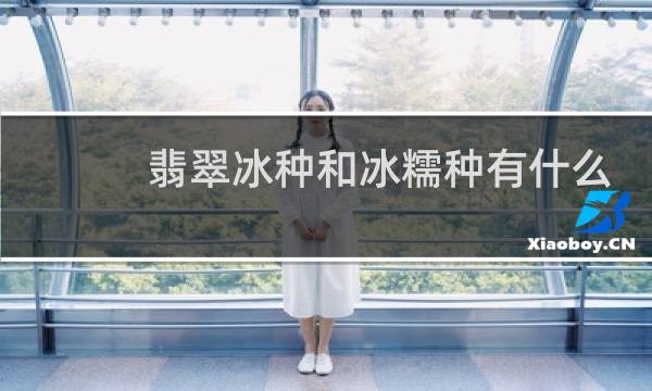 翡翠冰种和冰糯种有什么区别