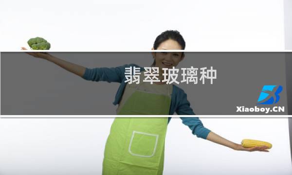 翡翠玻璃种 硬度是多少