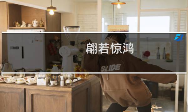 翩若惊鸿 婉若游龙