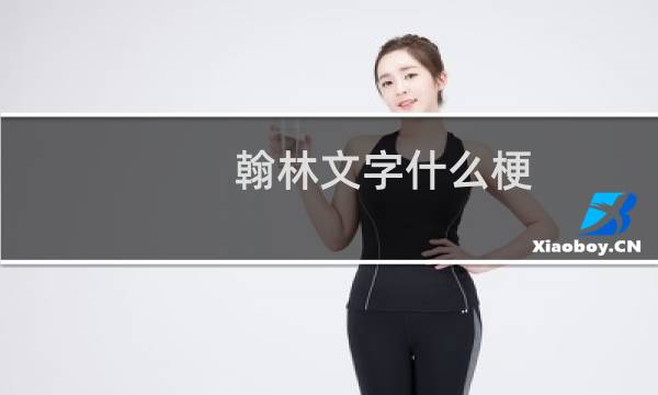 翰林文字什么梗