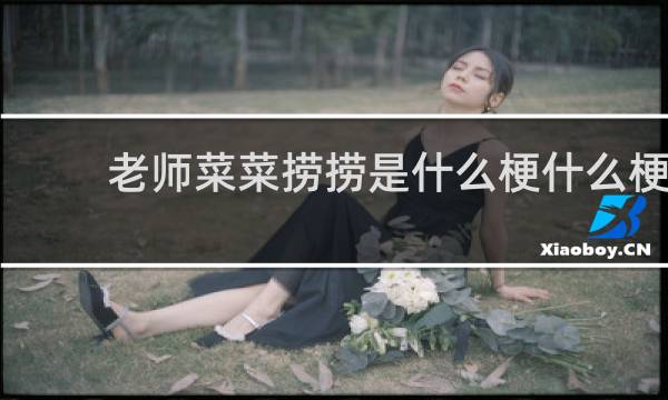 老师菜菜捞捞是什么梗什么梗