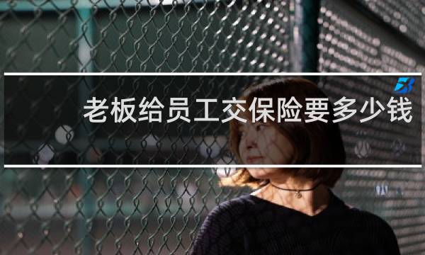 老板给员工交保险要多少钱