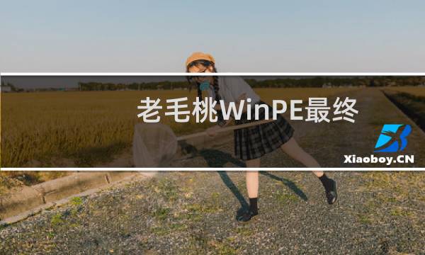 老毛桃WinPE最终修改版V09.11
