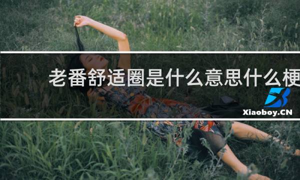 老番舒适圈是什么意思什么梗