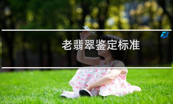 老翡翠鉴定标准