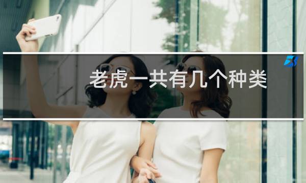 老虎一共有几个种类