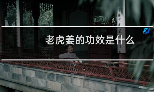 老虎姜的功效是什么（老虎姜的功效与作用）图片