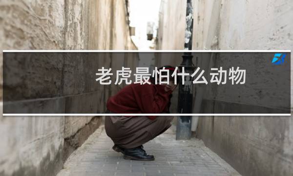 老虎最怕什么动物