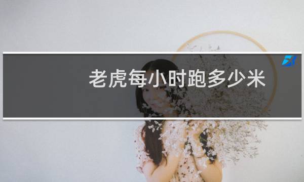 老虎每小时跑多少米
