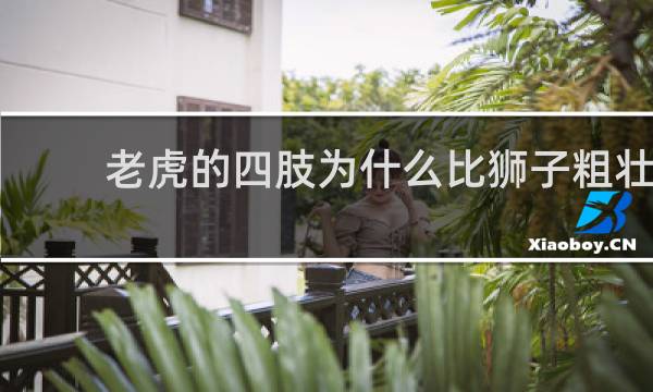 老虎的四肢为什么比狮子粗壮