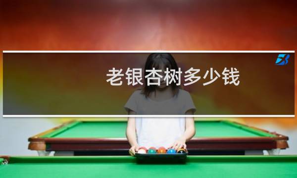 老银杏树多少钱
