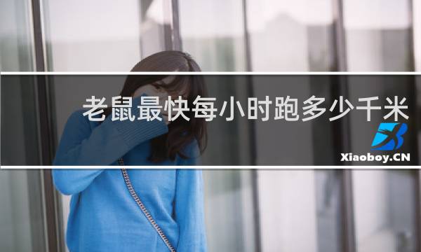 老鼠最快每小时跑多少千米