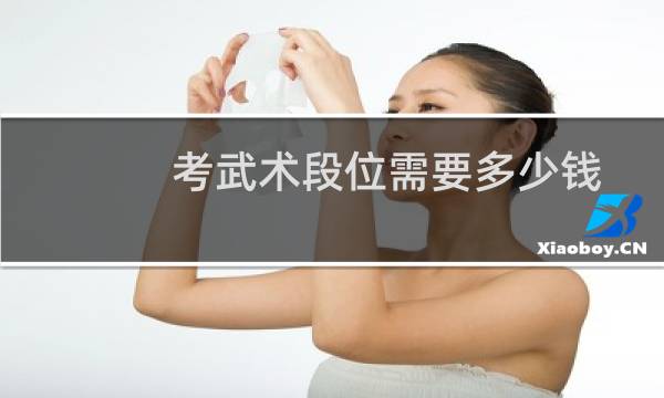 考武术段位需要多少钱