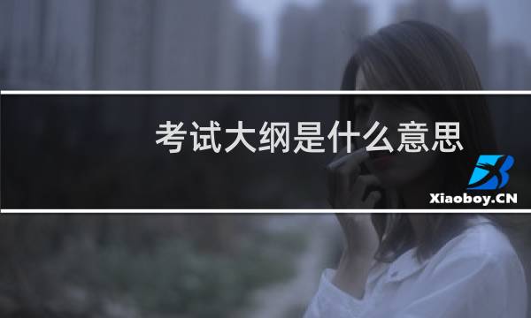 考试大纲是什么意思