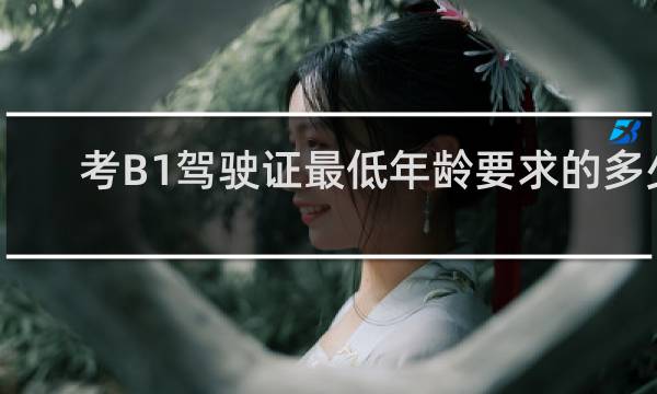 考B1驾驶证最低年龄要求的多少