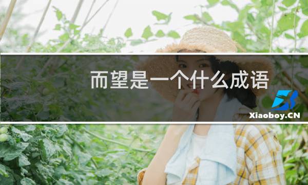 而望是一个什么成语