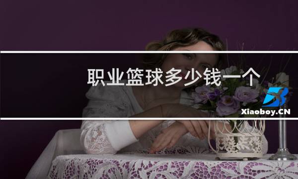 职业篮球多少钱一个