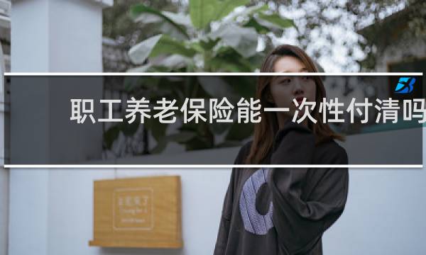 职工养老保险能一次性付清吗
