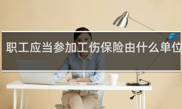职工应当参加工伤保险由什么单位缴纳