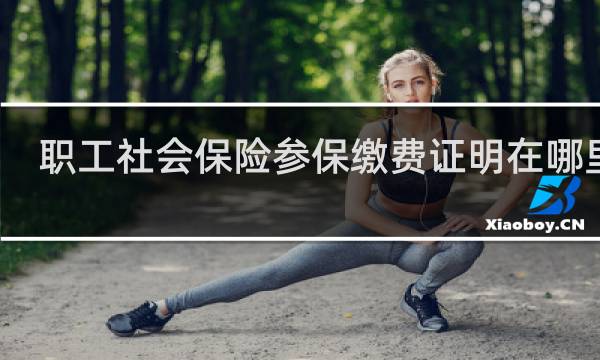 职工社会保险参保缴费证明在哪里打