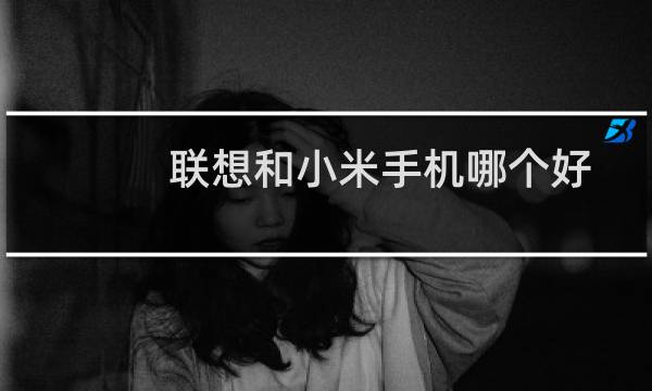 联想和小米手机哪个好
