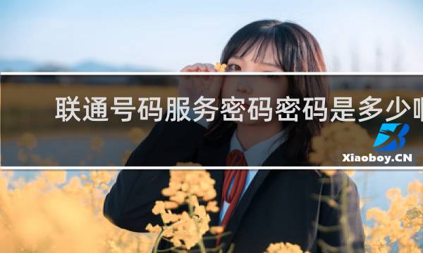 联通号码服务密码密码是多少啊