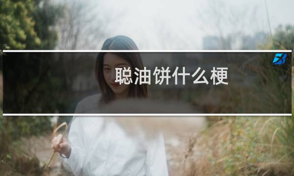 聪油饼什么梗