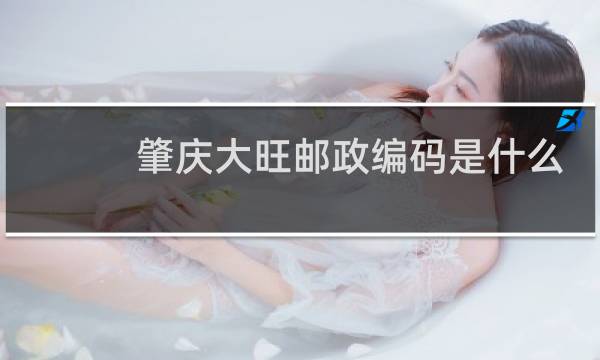 肇庆大旺邮政编码是什么