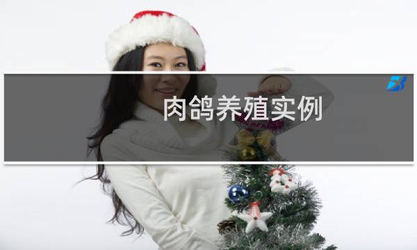 肉鸽养殖实例