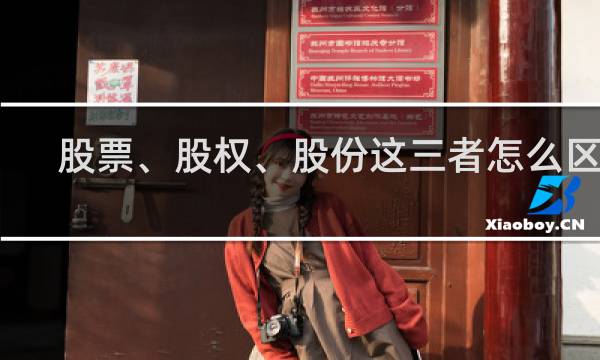 股票、股权、股份这三者怎么区分