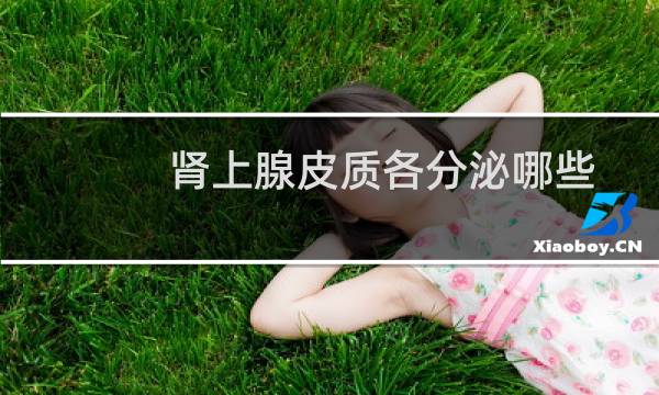 肾上腺皮质各分泌哪些激素(肾上腺皮质分泌的激素有哪些)