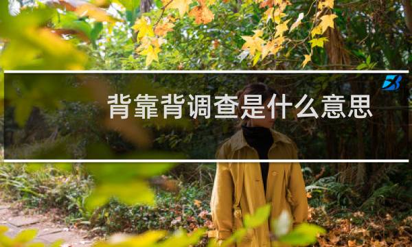 背靠背调查是什么意思