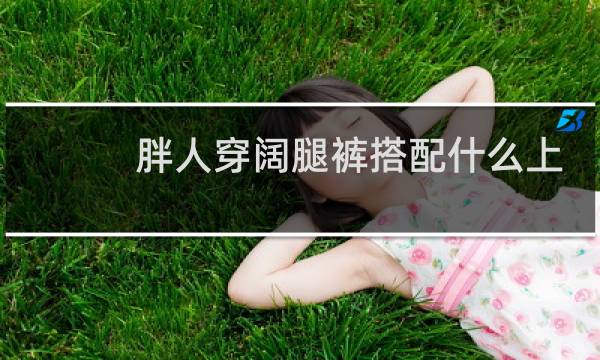 胖人穿阔腿裤搭配什么上衣