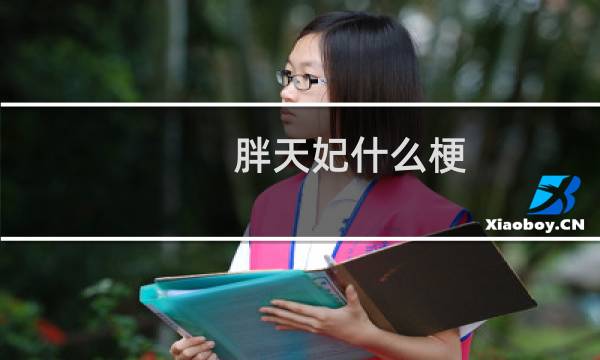 胖天妃什么梗