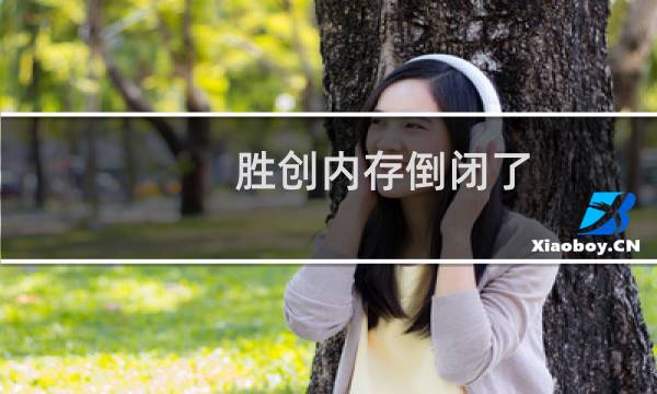 胜创内存倒闭了（胜创内存）图片