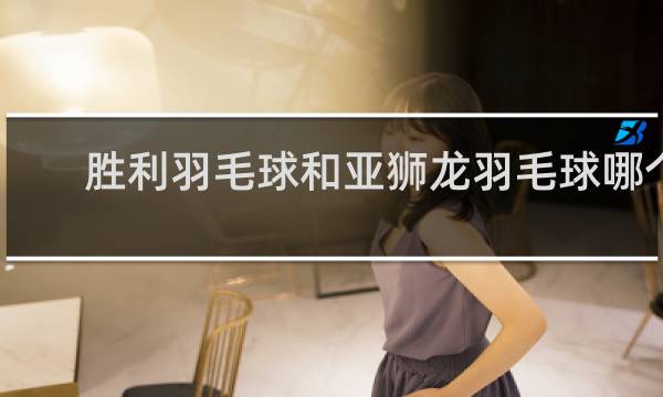 胜利羽毛球和亚狮龙羽毛球哪个好