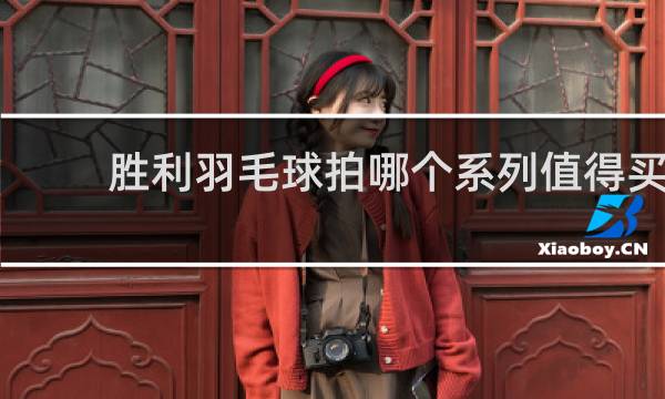 胜利羽毛球拍哪个系列值得买