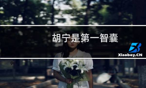 胡宁是第一智囊图片