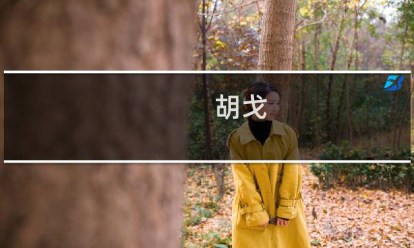 胡戈(胡戈是什么意思?)